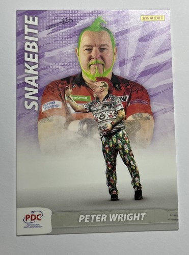 2024 panini pdc world - panini, dart