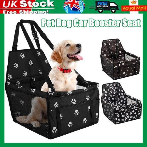 Pet booster dog - pet,