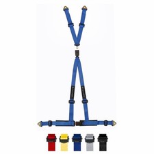 Willans 4 Point Track Day