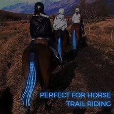 Horse Tail LED USB Light