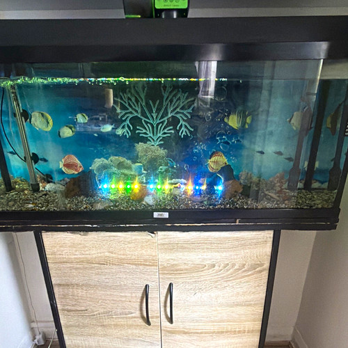 Juwel 180l glass rectangular - juwel,