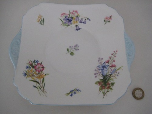 Shelley wild flowers blue bone - shelley,