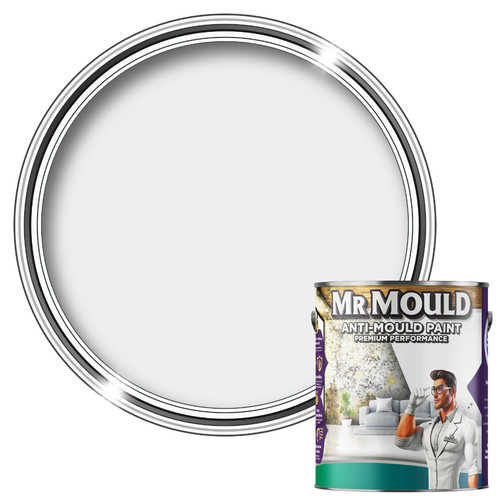 Anti mould wall paint - mould,