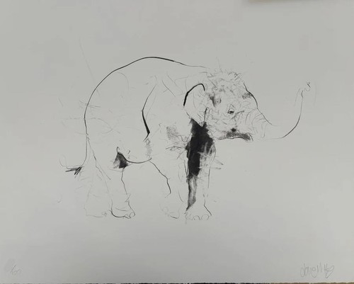Small elephant limited edition - limited,