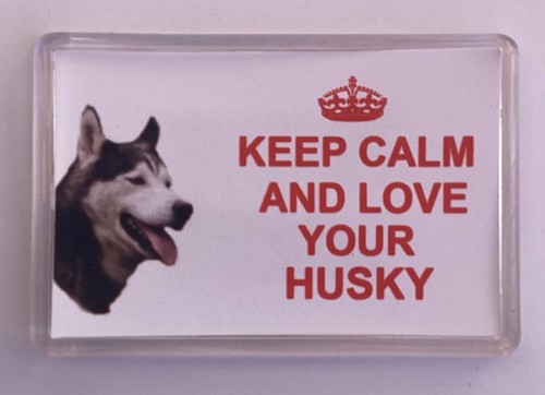 Husky dog fridge magnet - husky, keep