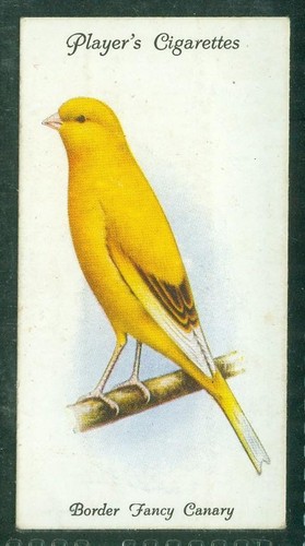 Bird card 007 - 007,, 1933,