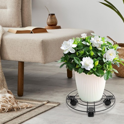 Plant stand with - with, pallet