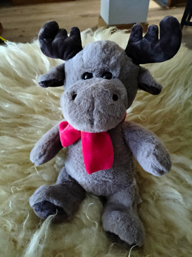 Grey moose plush soft - plush,