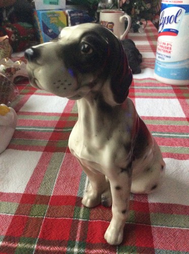 Antique springer spaniel - springer,
