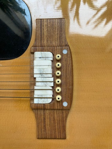 Sitarra morris acoustic - morris,