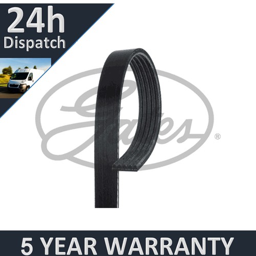 Gates ribbed belts for colt - gates,