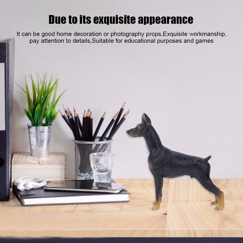Simulation animal model - ´simulation,