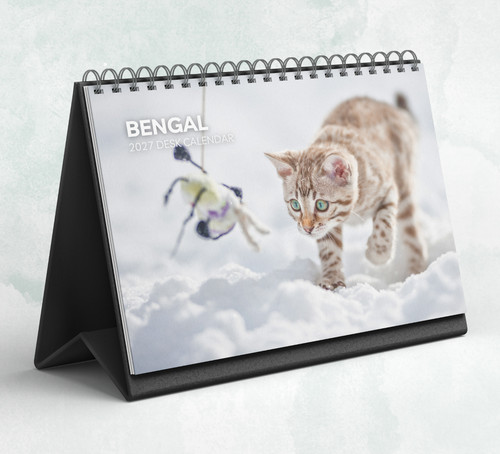 Bengal cat desk calendar - cat,