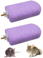 Chinchilla Lava Ledges Rat