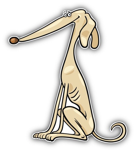 Funny purebred greyhound dog - funny,