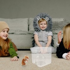 3 Count Hamster Cooling House