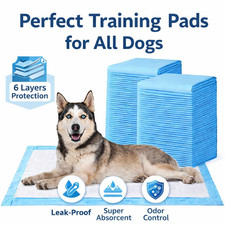 60-600 Large Puppy Potty