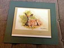 david shepherd signed print 