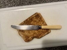 Vintage Butter Knife Faux Bone