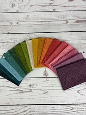 "Twinkle” By Edyta Sitar Of