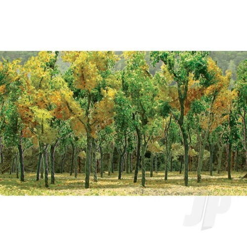 Jtt 95622 woods - (n,