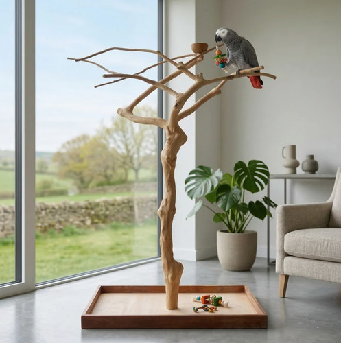 Large natural java wood parrot - natural,