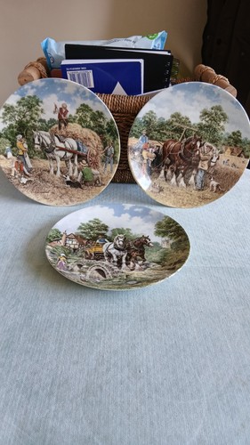 Wedgewood limited edition - wedgewood,