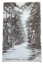 1910 cumbria sandybrow wood - 1910's,