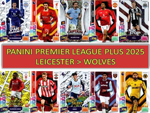 Panini premier league - premier,