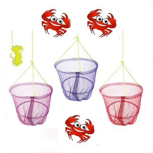 Crab fish crayfish - fish,