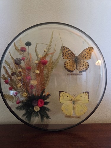 Vintage korean butterfly - korean,