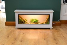 Modern Light Grey Reptile