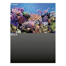 CLEARANCE DEAL SuperFish Deco Fish Tank Aquarium A2 Poster 60 X 49 cm - SW100033