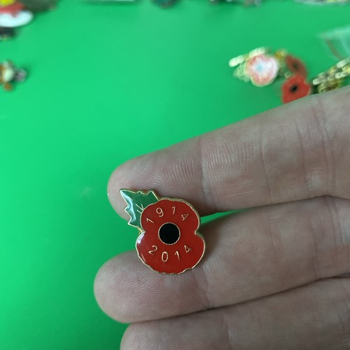Rare 2014 poppy - *rare*, poppy¹