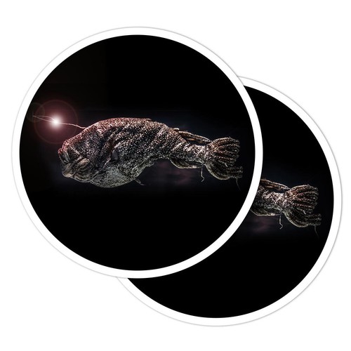 Vinyl stickers deep sea - 2x,