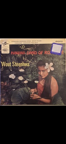 Wout steenhuis hawaii - hawaii, land