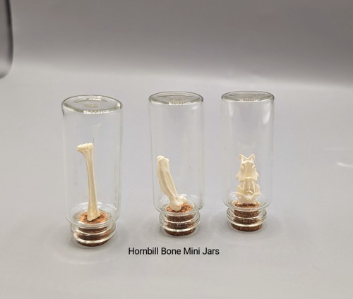 Bone mini vial - mini, skulls,