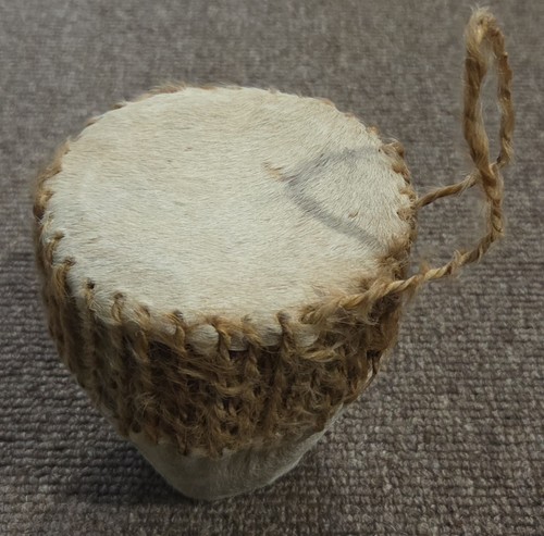 Authentic african animal skin - animal,