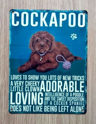 Cockapoo dog metal sign - ,