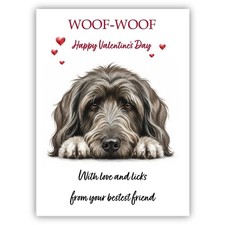 Briard Dog Valentine's Day