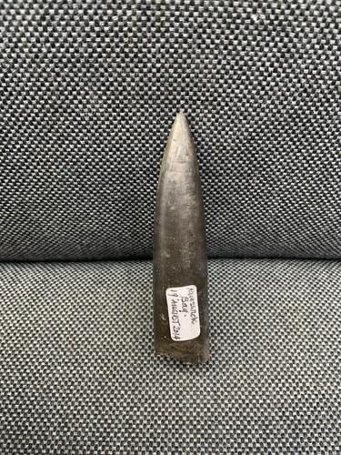 Fossil belemnite jurassic - belemnite, (jurassic