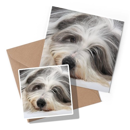 Greeting card sticker - card,
