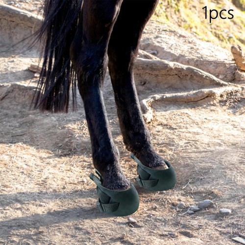 Horse hoof boot equine - horse,