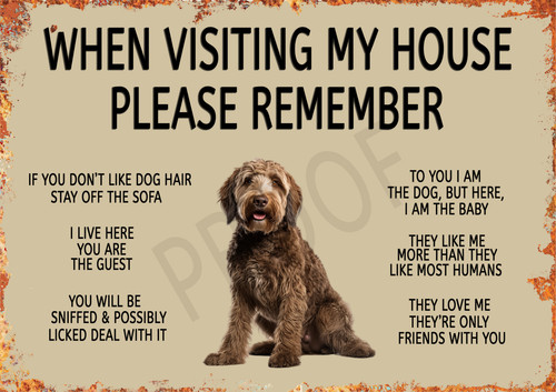 Funny dog labradoodle - funny,