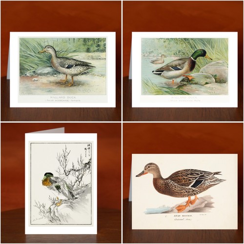 Mallard art print - art,