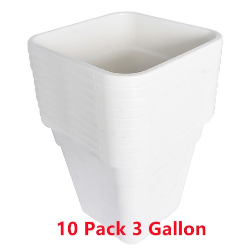 Gallon square white - 3,