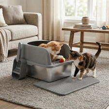 Stainless Steel Open Cat