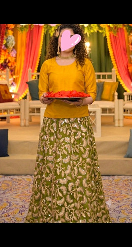 Pakistani lehnga choli - lehnga,