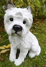 Sitting Westie Dog Garden
