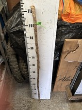 HAZEL SHANK WALKING STICk
